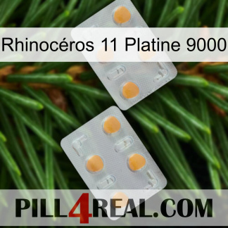 Rhinocéros 11 Platine 9000 25